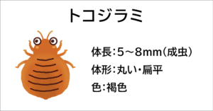 トコジラミ