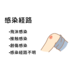 劇症型溶血性レンサ球菌感染症