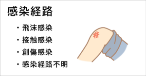 劇症型溶血性レンサ球菌感染症